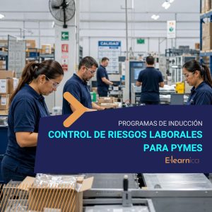 PROGRAMA DE INDUCCIÓN | CONTROL DE RIESGOS LABORALES PARA PYMES
